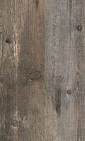 Pinero 0419GA