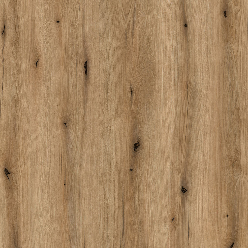 Coast Evoke Eiken K365 38mm