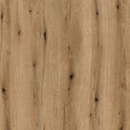 Coast Evoke Eiken K365 38mm