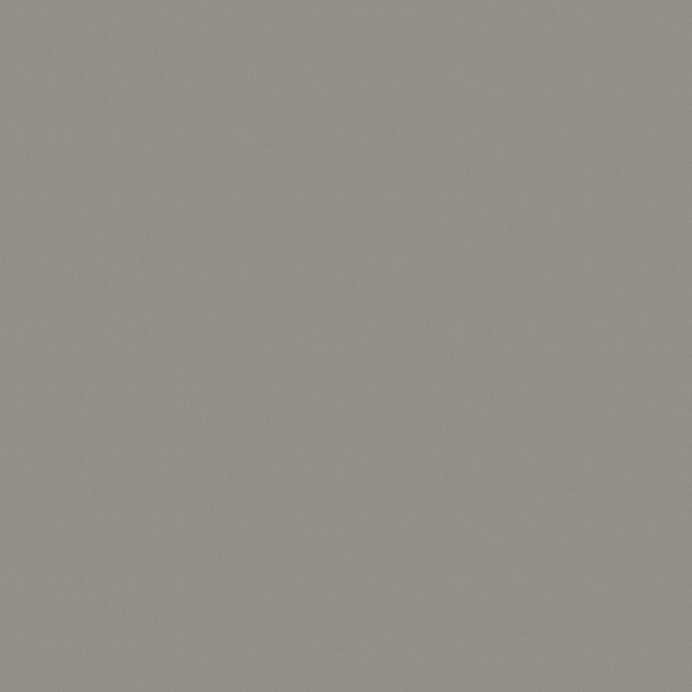 Aluminium Geborsteld F502 38mm