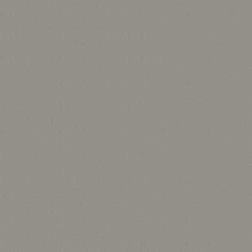 Aluminium Geborsteld F502 38mm