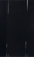 Serie F20