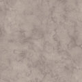 Dovetail Arosa
