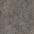 Fossil Arosa