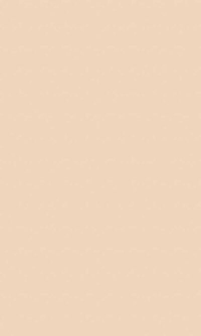 Falco Beige Structuur
