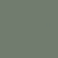 Eucalyptusgroen