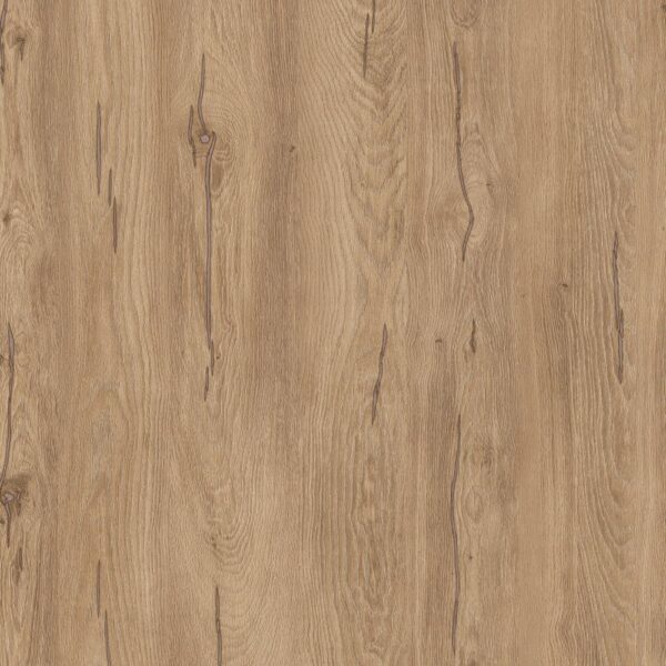 Hazel Silverjack Eiken K544 38mm